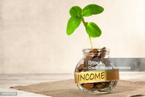 Income. Glass jar with coins and a plant, on a table, on a gray background. The concept of finance and investment.